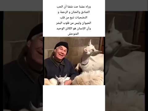 وراه عشنا حت شفنا أن الحب الصادق والحنان و الرحمة و التضحيات تنبع من قلب الحيوان..؟