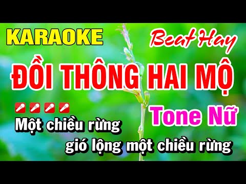 Karaoke Đồi Thông Hai Mộ Tone Nữ (Beat Hay) Nhạc Sống 2025 | Hoài Phong Organ