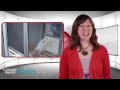 Mosquito and Tick Repellent Testing