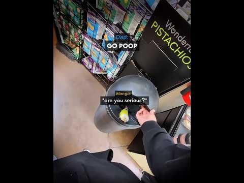 He Knows Where to Poop in the Grocery Store ๐๐ #shorts