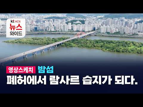 [영상스케치] 밤섬