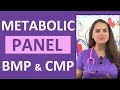 Metabolic Panel and Electrolyte Assessment