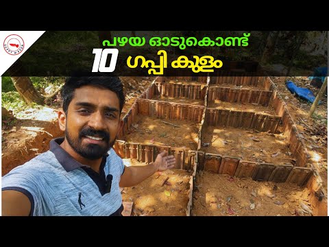 പഴയ ഓടുണ്ടോ?10 ഗപ്പിക്കുളം  ഉണ്ടാക്കാം|How To Make Low cost Guppy Pond Using Roofing Tile