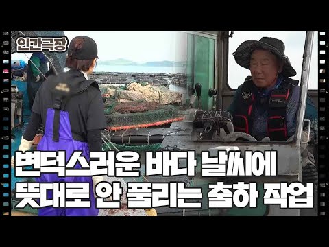 [전복 밭으로 돌아온 둘째 딸] (4/15) [인간극장/Screening Humanity] | KBS 260825 방송