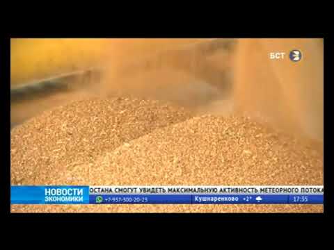 АПК Башкортостана нарастил экспорт сельхозпродукции