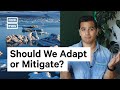 Mitigation and Adaptation in Climate Change