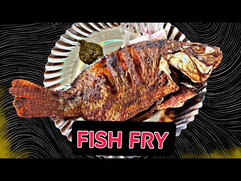 Famous Fish Fry in Bengaluru💁 | Street Food😋 | water falls🔥