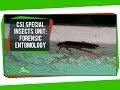 Forensic Entomology Concepts and Applications