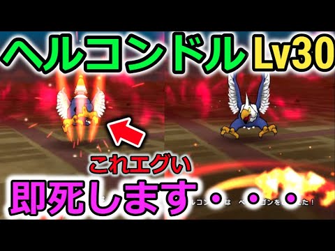 【ドラクエウォーク】ヘルコンドルLv30 討伐！Lv60 防御力900パラディンが即死しました。