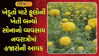 Amreli Farmers News | ખેડૂતો માટે ફૂલોની ખેતી બન્યો સોનાનો વ્યવસાય નવરાત્રીમાં હજારોની આવક | Local18