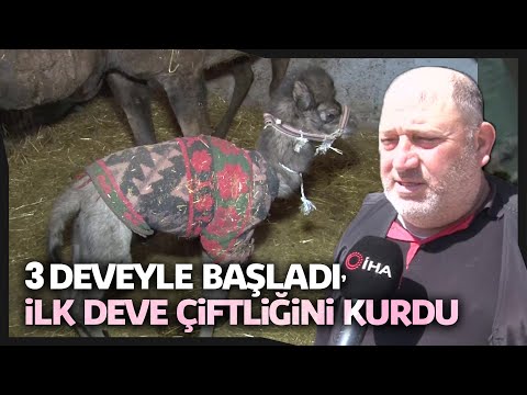 Türkiye’nin İlk Deva Çiftliği Denizli’de Kuruldu