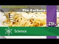 Exploring Carbohydrates: Monosaccharides, Disaccharides, and Polysaccharides