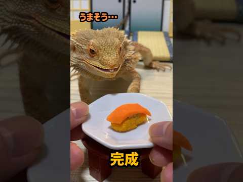 トカゲに邪魔されクッキング　〜寿司編〜