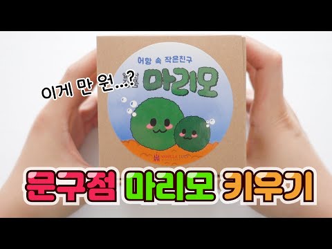 문구점에서 사온 <strong>마리모</strong> <strong>키우기</strong> :D