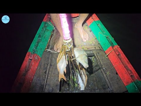 Unique Boat Fishing Video | Night Boat Fishing video | Night Fishing | #boatfishing #night_fishing