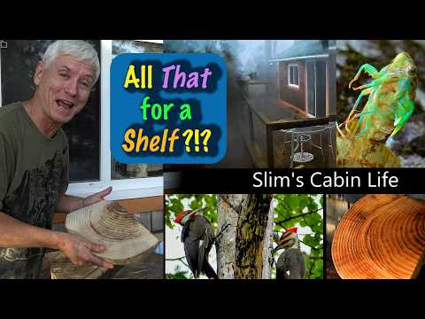 All That for a Shelf?  Slim's Cabin Life Ideas