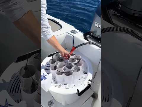 2 KG Bait vs 200 Pound Bluefin Tuna 😳 | ।।#ytshorts #deepseafishing#oceanadventure#viralfish