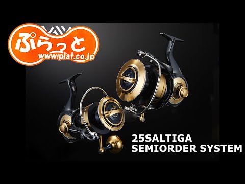 20th Anniversary EXIST SEMIORDER SYSTEM.  2025 SALTIGA SEMIORDER SYSTEM