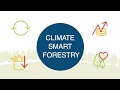 Forests and Climate Change Impacts