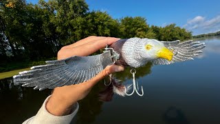 Will an Eagle Lure catch a River Monster!