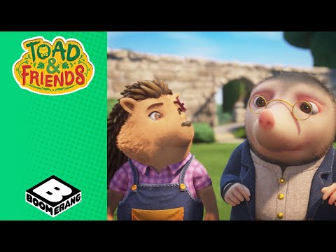 Picnic | Toad and Friends | @BoomerangUK | Cartoons for Kids