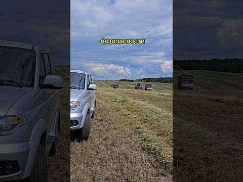 верно же? #сельскоехозяйство #уборка #уборочная