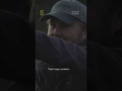 The great goose migration 🪿 | S1, E2 | Sam & Ade Go Birding