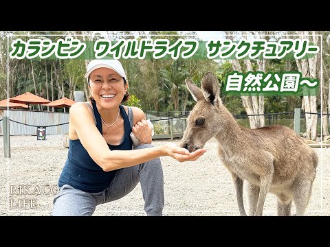 【オーストラリアVlog】自然公園で動物たちと触れ合ってきました〜