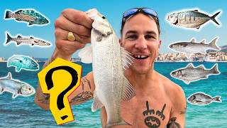 Ohne Ende Fisch! Mallorca Fischarten-Challenge