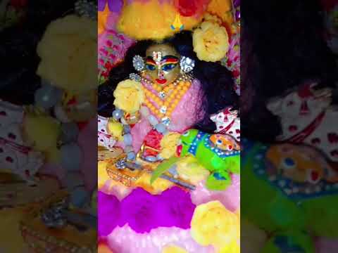 मेरी शरण में आकर मैं धन्य हो गया, # #shyam #shyamkripa #shyamdarshan #vrindavandham