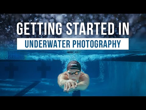 Getting Started in Underwater Photography Made EASY!