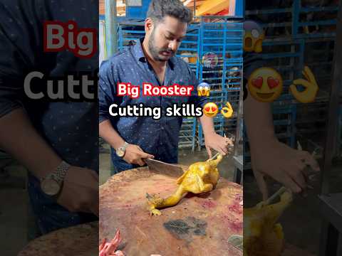 😍Big Rooster cutting skills👌(youngest known butcher🐓)#zamampoultry #youtubeshorts