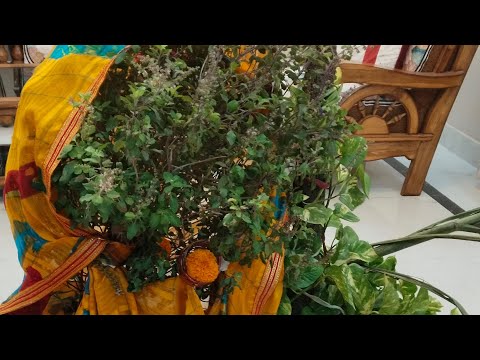 तुलसी विवाह की बहुत-बहुत बधाईयाँ जय माता दी