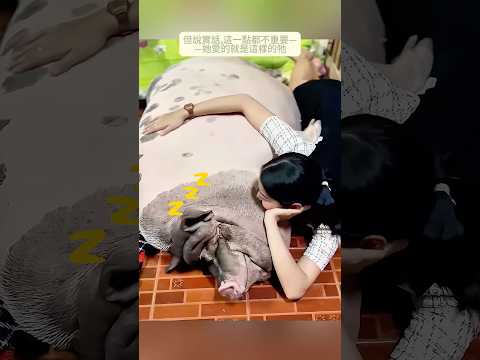 女子滿懷愛心領養迷你小豬，但牠卻不斷長大
