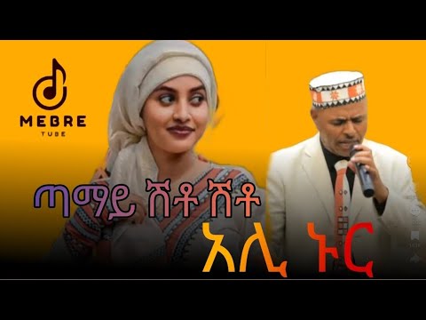 አሊ_ኑር_-ጣማይ_ሽቶሽቶ_-Ali_Nur_-Tamay_-Shito_Ethiopian_silte_music_Mebretube_(360p)mp4