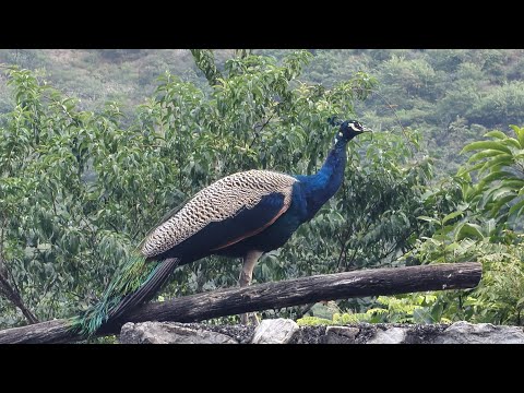 Welcome in my 356th support Live Strem || Connect 🔄 India🇮🇳 Connect 🔄 Globally 🌍