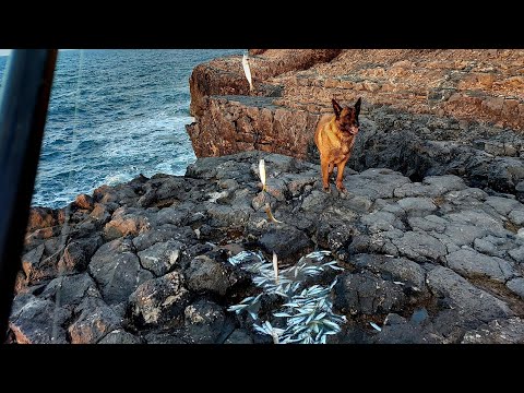 Camping and Fishing in a Peaceful Secluded Cove – Just Me and Nature