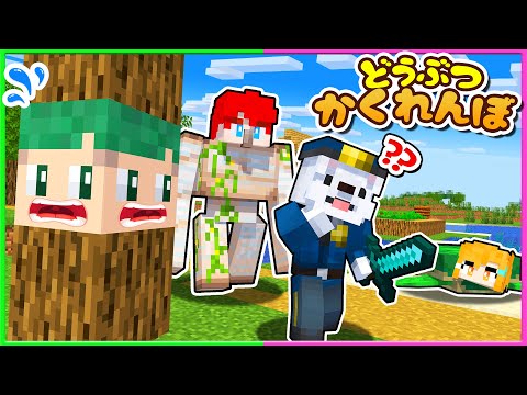 チートを使って動物やブロックに変身してかくれんぼしてみた結果www🐶🐾『動物かくれんぼ』【まいくら・Minecraft】よろずや🍭