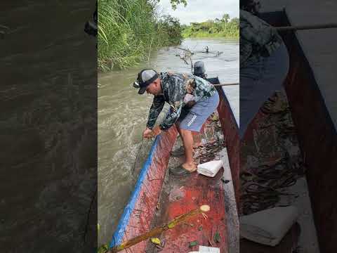 #fishing #pescaderia #pescadeportiva