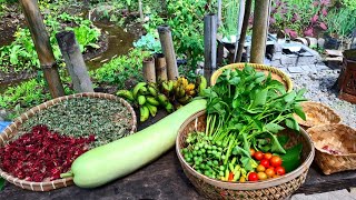 MEMBUAT PASAR ORGANIK DIRUMAH