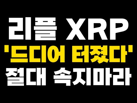 [리플 XRP] 긴급속보 '드디어 터졌다' 절대 속지마라