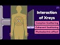 X-ray Interaction Concepts