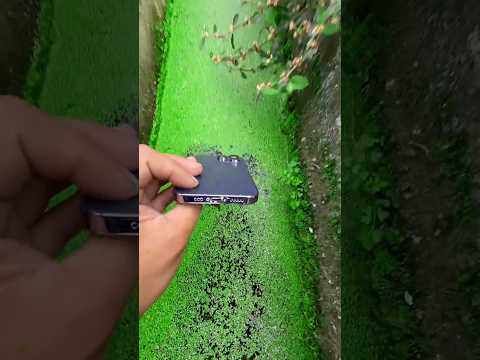 पापा ने मेरे new iphone 16 Pro को पानी में डाल दिया 🥲 #shorts #shortsvideo #shortsfeed