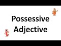 Understanding Possessive Adjectives