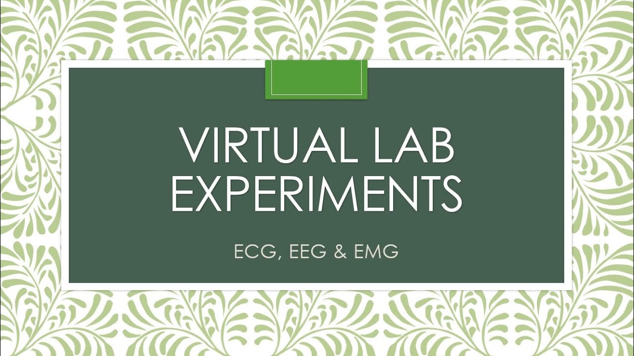 ECG Virtual Lab: Unlocking the Potential of Virtual Learning