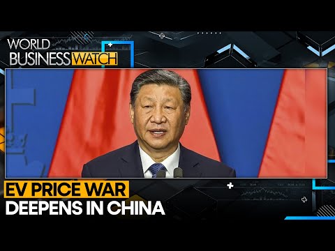 Only BYD, Li Auto, Seres Turn Profits Among 50+ EV Makers | World Business Watch | WION