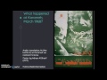 Middle East Conflict and Resolutions