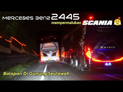 GILAAA TENAGANYA Mercedes Benz 2445 ‼️ Permalukan SCANIA Di GUNUNG 😤 KURNIA AW VS HARAPAN INDAH