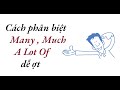 Cách sử dụng từ chỉ số lượng