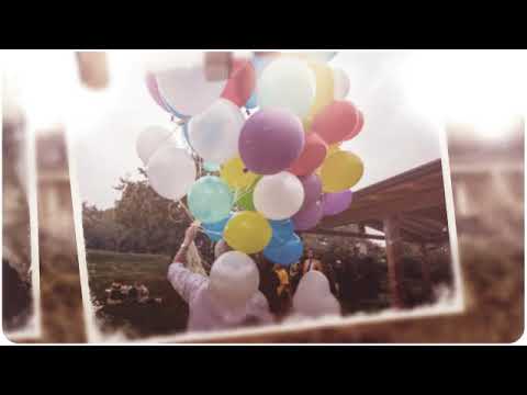 Le feste di Mirtillo SRLS